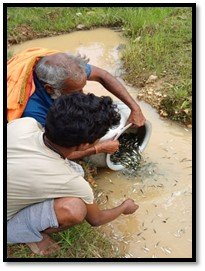 CSR: IndiGoReach Empowering Rural Entrepreneurs in Jharkhand 6 India CSR