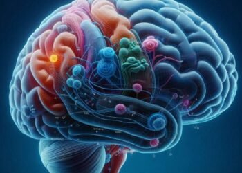 Understanding Brain Rot and Its Impact: A Growing Concern