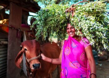 Hindustan Zinc Supported Farmers Achieve INR 5 Cr Revenue Through Five Farmer Produce Organizations