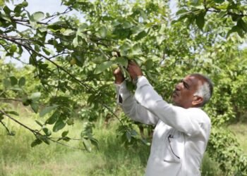 Hindustan Zinc Supported Farmers Achieve INR 5 Cr Revenue Through Five Farmer Produce Organizations