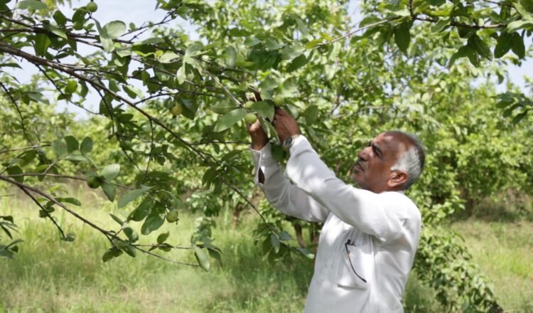 India CSR