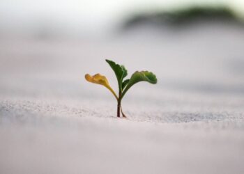 How are India's big companies adopting green initiatives?