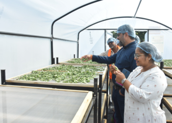 Marico Unveils 500Kg Solar Polyhouse Dryer in Jalgaon, Boosting Income Opportunities for Farmers