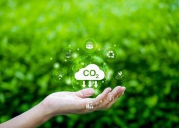 Sustainability Trends