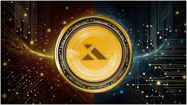 The Impact of Indian Stable Coin on E-commerce Payments