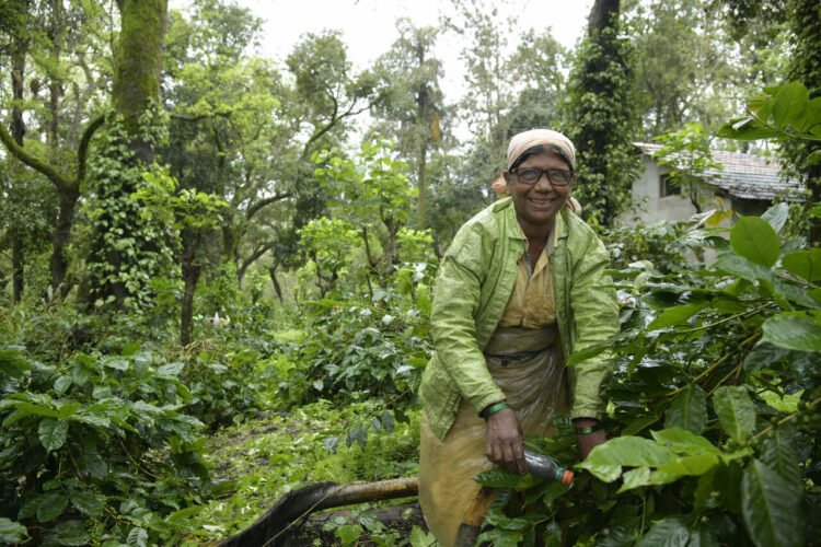 VisionSpring and UPASI Aim to Improve Vision for Over 2,00,000 Tea and Coffee Workers in South India by 2028