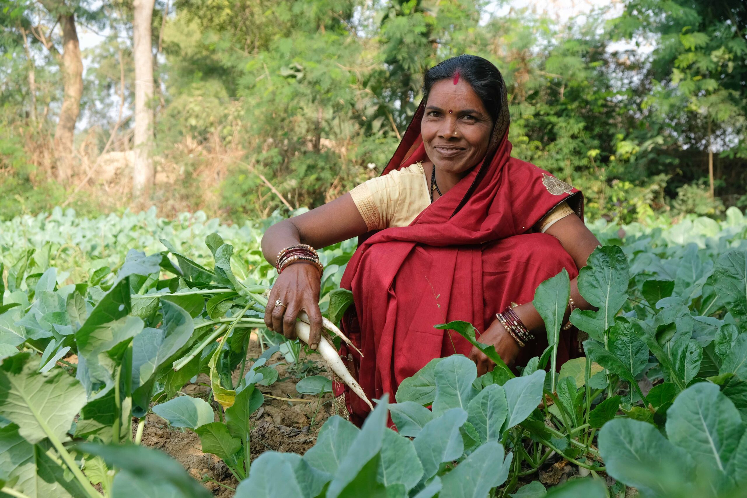India CSR