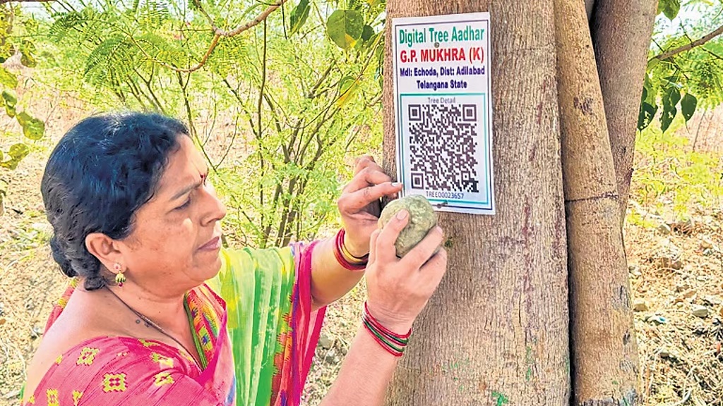 Mukhara K village sarpanch Meenakshi geo-tags and pastes a QR code on a tree