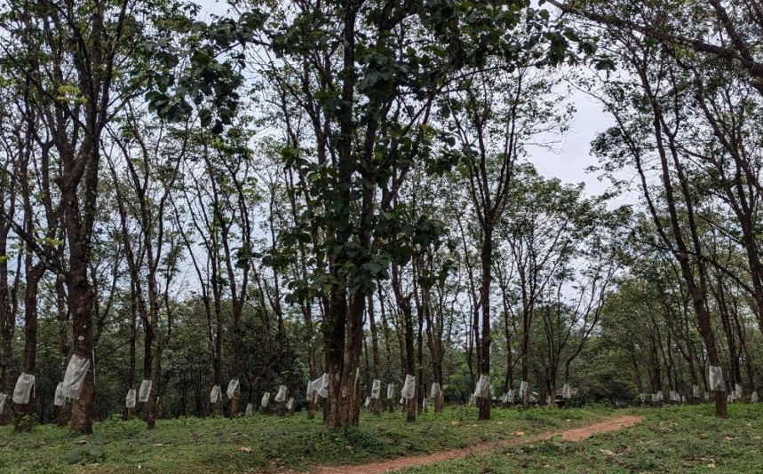 India CSR