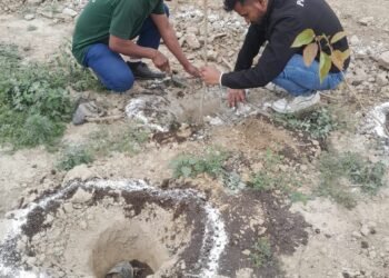 PhysicsWallah Plants 1,000 Trees to Green Greater Noida