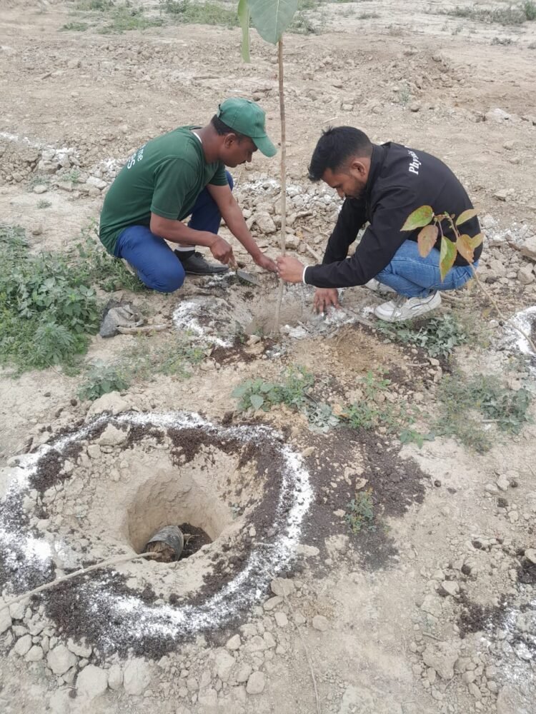 PhysicsWallah Plants 1,000 Trees to Green Greater Noida