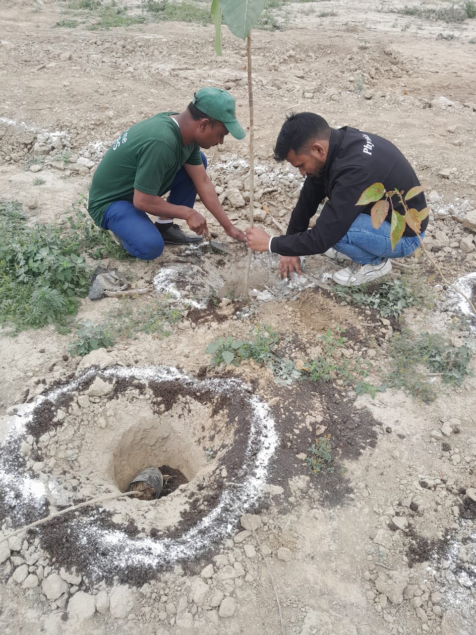 PhysicsWallah Plants 1,000 Trees to Green Greater Noida