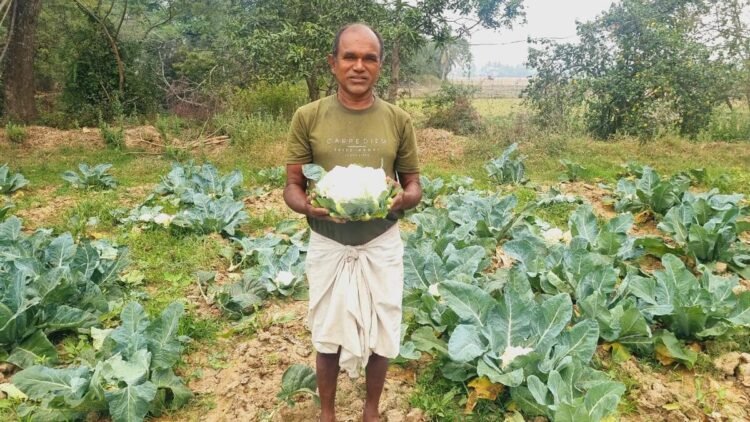 Adani Foundation Empowers Marginal Farmers: The Success Story of Sahadeb Mandal