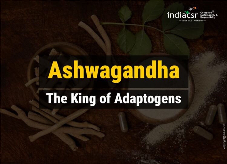 Ashwagandha: The King of Adaptogens