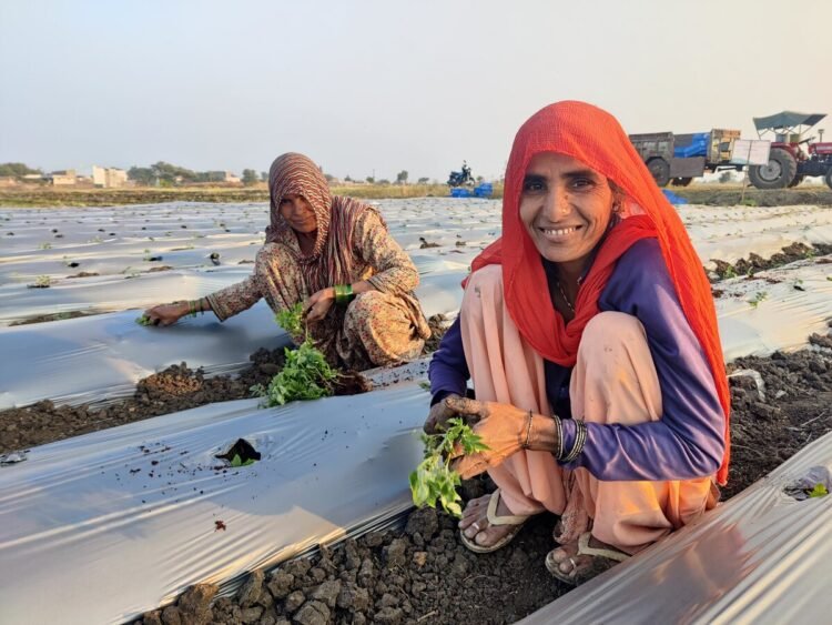 India CSR