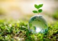 Sustainability