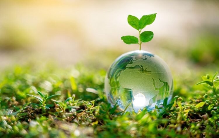 Sustainability