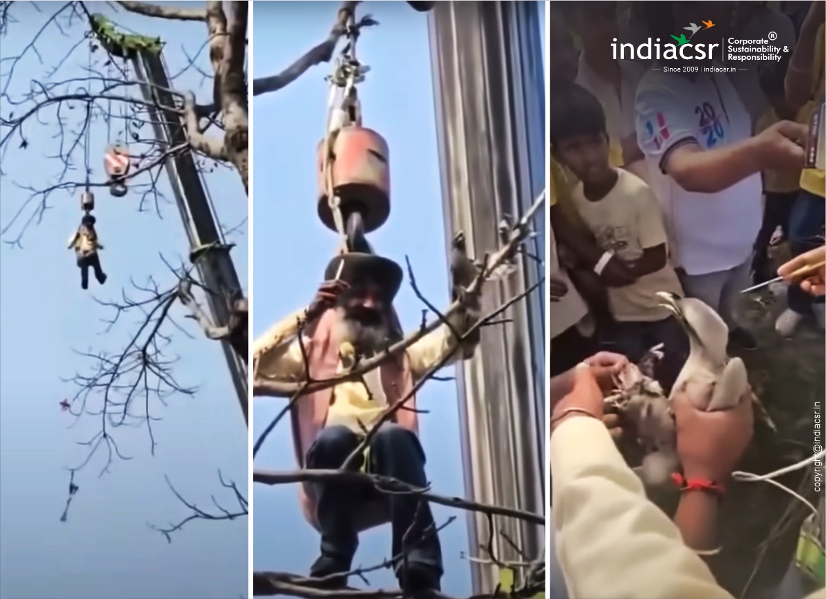 Heroic Rescue of Indian Grey Hornbill in Paonta Sahib Ends in Tragic Loss