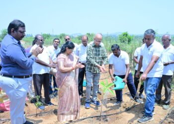 Titan Company Plants 2 Lakh+ Trees Under Titan Vanam, Eyes 800 Tonnes Annual CO₂ Offset