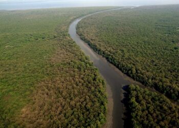 Godrej Group Reaffirms Commitment to Biodiversity on International Day