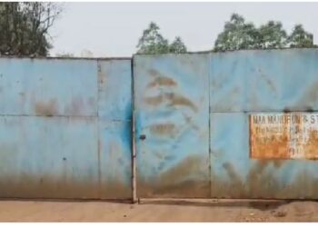 Maa Mani Steel Plant, Raigarh