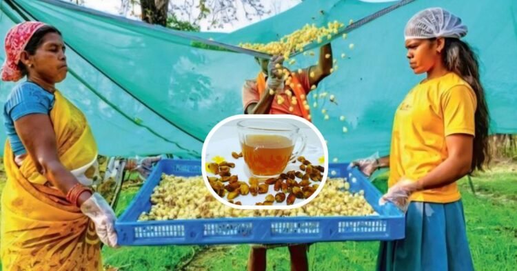 बस्तर की महुआ चाय | Bastar Mahua Tea