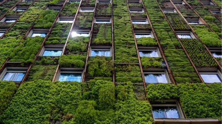Sustainability