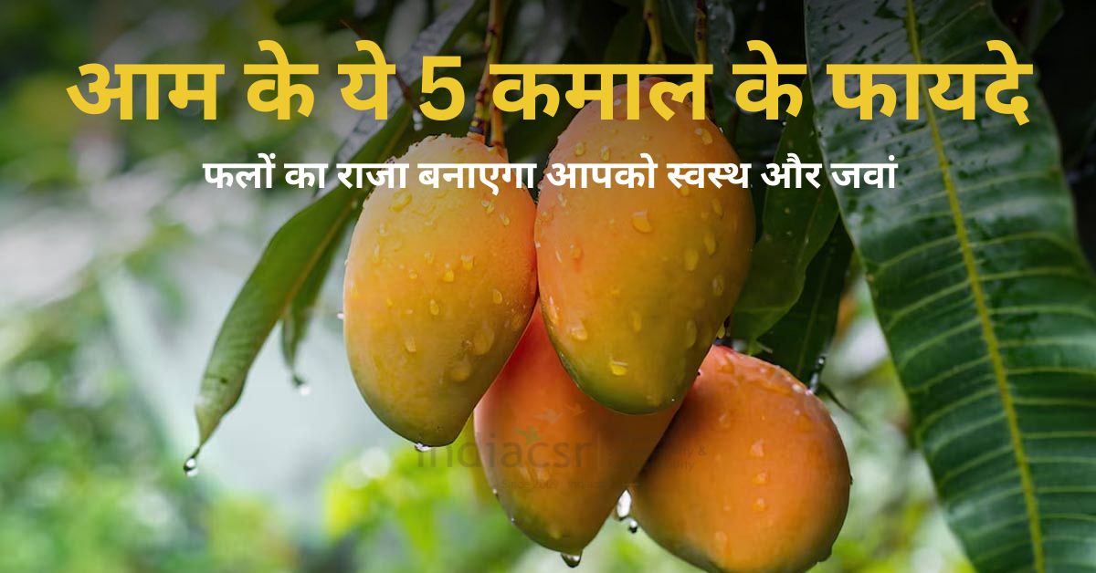 आम के ये 5 कमाल के फायदे: फलों का राजा बनाएगा आपको स्वस्थ और जवां 1 आम के ये 5 कमाल के फायदे