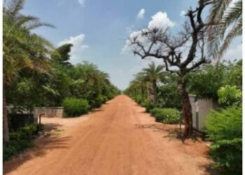 A Forest Flourishes: The Miyawaki Method and Its Impact on Urban Life in Hyderabad