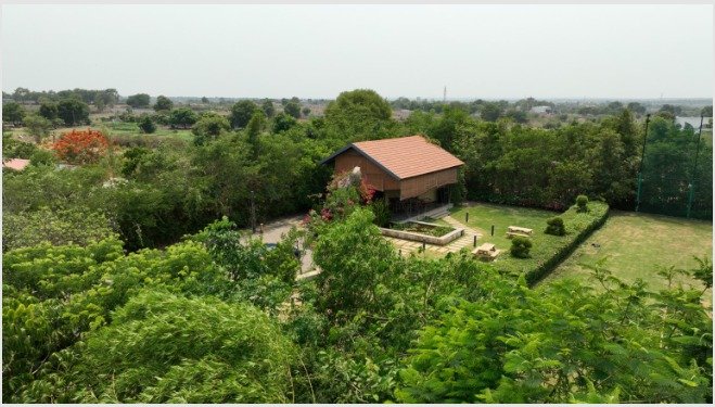 A Forest Flourishes: The Miyawaki Method and Its Impact on Urban Life in Hyderabad 2 A Forest Flourishes: The Miyawaki Method and Its Impact on Urban Life in Hyderabad