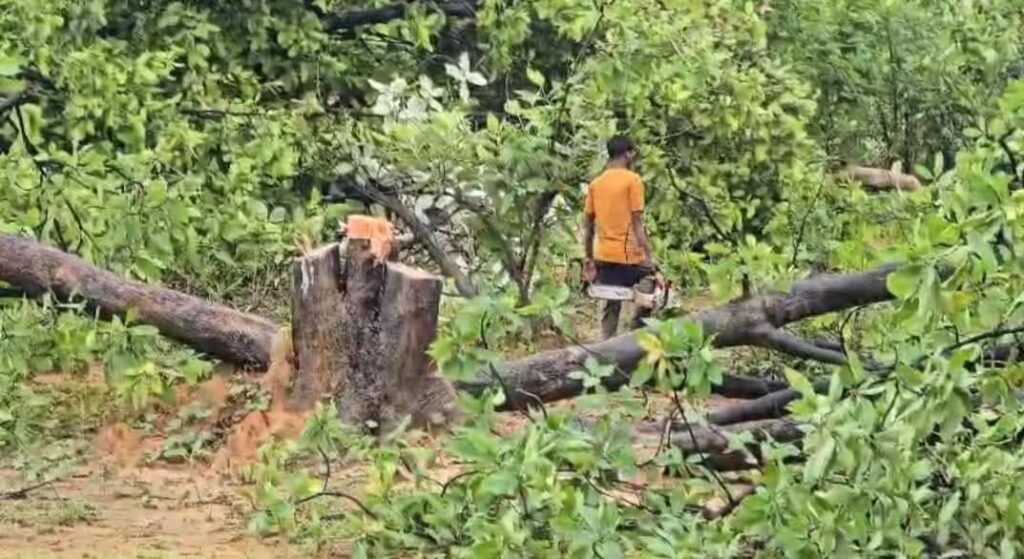 Chhattisgarh: Adani Coal Mining Sparks Deforestation Crisis in Raigarh, Protests and Arrests Follow 3 India CSR