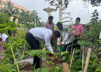 CSR: Ajmera Realty Plants 5,000 Trees in Kalina