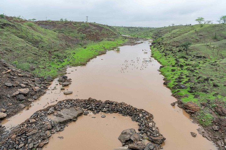 CSR: Forests by Heartfulness Commits to 30 Million Trees by 2030 2 India CSR