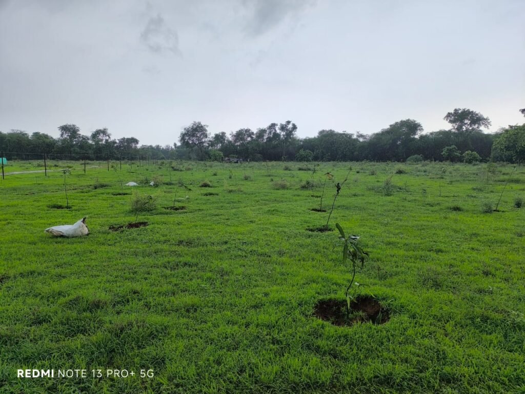 Standard Chartered, Haritika to Plant 1M Trees with Army 3 Standard Chartered, Haritika to Plant 1M Trees with Army