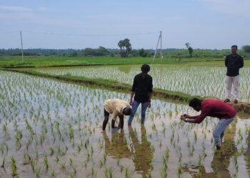 Sustainability RPG Group Investing ₹13 Cr in AP, Aims to Restore 8,000 Hectares of Farmland