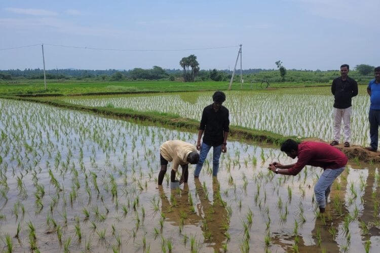 Sustainability RPG Group Investing ₹13 Cr in AP, Aims to Restore 8,000 Hectares of Farmland