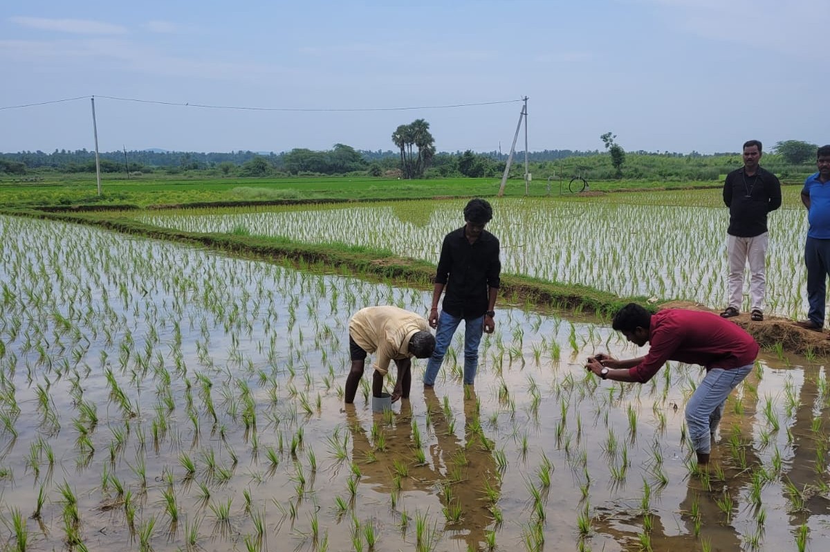Sustainability RPG Group Investing ₹13 Cr in AP, Aims to Restore 8,000 Hectares of Farmland