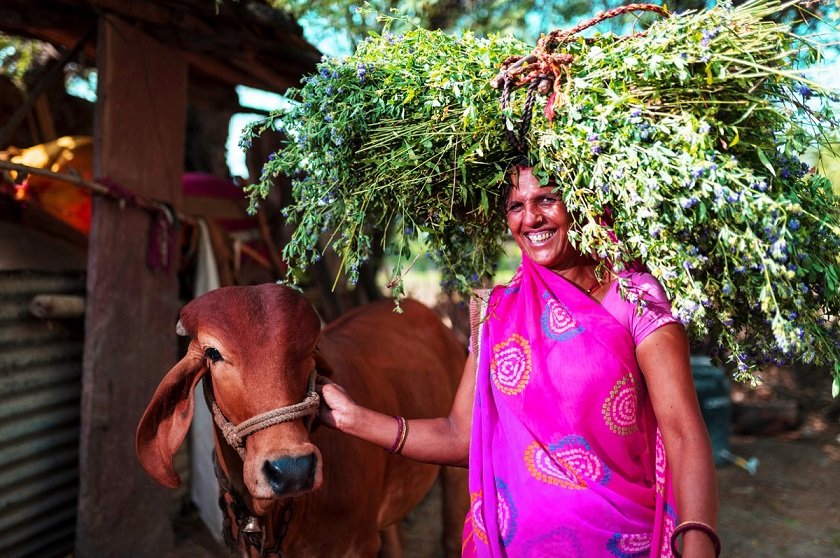 Hindustan Zinc advances Animal Welfare, positively impacting 8.7 lakh animals since 2016