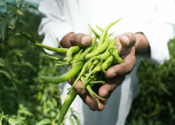 Hindustan Zinc, through its broader CSR vision, continues to expand Samadhan to promote micro-enterprises in dairy, horticulture, and sustainable agriculture. With over 35,000 farmers and 23 lakh individuals already benefiting from its various community programmes, the company remains one of India’s leading champions of inclusive rural development and income generation.