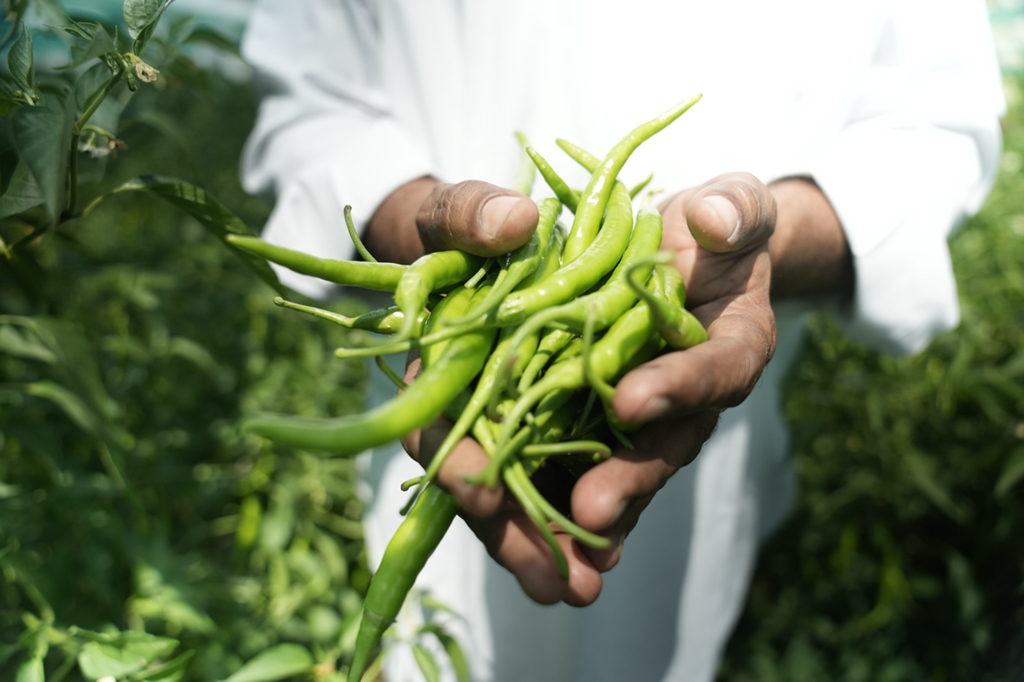 Hindustan Zinc, through its broader CSR vision, continues to expand Samadhan to promote micro-enterprises in dairy, horticulture, and sustainable agriculture. With over 35,000 farmers and 23 lakh individuals already benefiting from its various community programmes, the company remains one of India’s leading champions of inclusive rural development and income generation.
