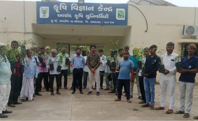CSR: Marico and Ambuja Foundation to Create 10 Cr. liters of Water Potential in Gujarat 3 India CSR
