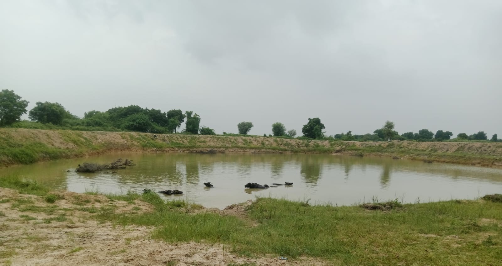 CSR: Marico and Ambuja Foundation to Create 10 Cr. liters of Water Potential in Gujarat 1 India CSR