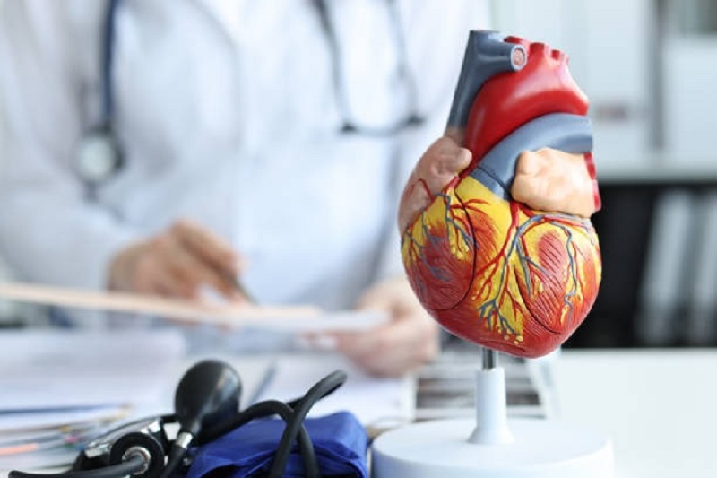 cardiac surgeon