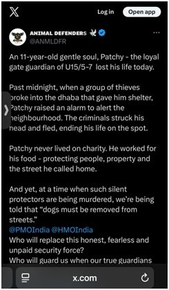 A Plea for Compassion: Embracing Our Responsibility Towards Dogs 2 A Plea for Compassion: Embracing Our Responsibility Towards Dogs