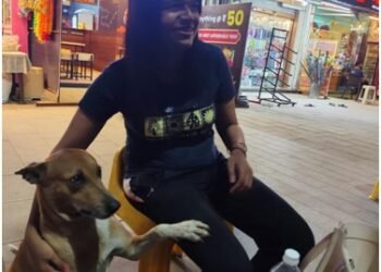 A Plea for Compassion: Embracing Our Responsibility Towards Dogs