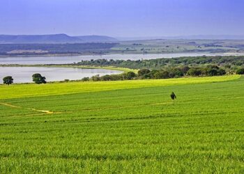 Bonsucro and Better Cotton Unite to Strengthen Climate Resilience in Agriculture