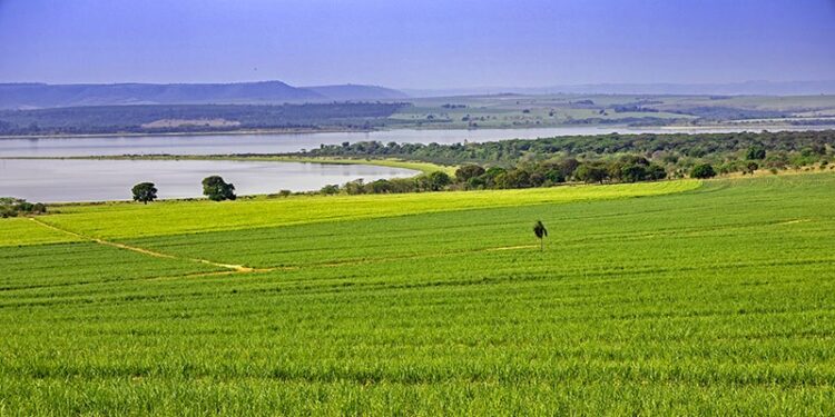 Bonsucro and Better Cotton Unite to Strengthen Climate Resilience in Agriculture 1 Bonsucro and Better Cotton Unite to Strengthen Climate Resilience in Agriculture