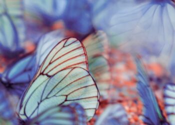 ESG Image at India CSR