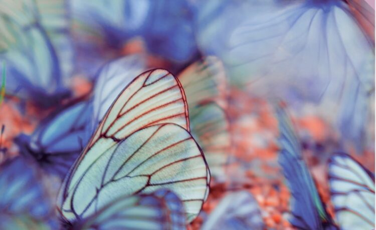 ESG Image at India CSR