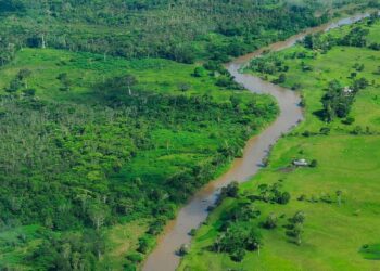 COP30: Brazil Launches Global Fund to Put Forest Protection at the Core of Climate Action